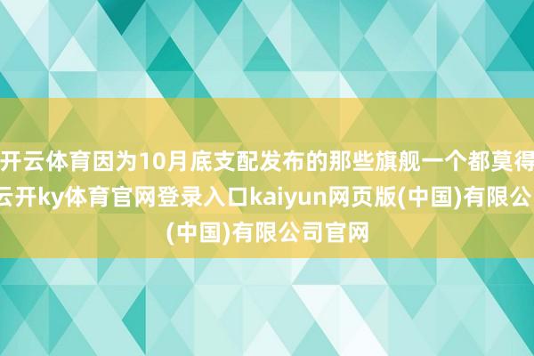开云体育因为10月底支配发布的那些旗舰一个都莫得入围-云开ky体育官网登录入口kaiyun网页版(中国)有限公司官网