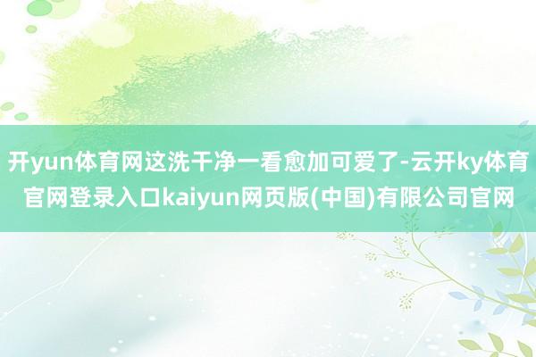 开yun体育网这洗干净一看愈加可爱了-云开ky体育官网登录入口kaiyun网页版(中国)有限公司官网
