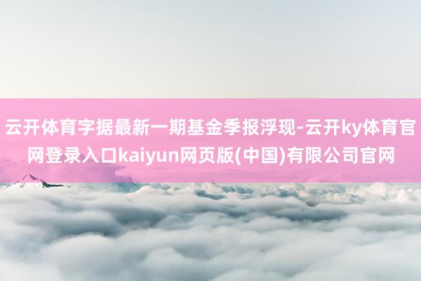 云开体育字据最新一期基金季报浮现-云开ky体育官网登录入口kaiyun网页版(中国)有限公司官网