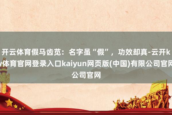 开云体育假马齿苋：名字虽“假”，功效却真-云开ky体育官网登录入口kaiyun网页版(中国)有限公司官网