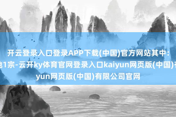开云登录入口登录APP下载(中国)官方网站其中：中心城区用地1宗-云开ky体育官网登录入口kaiyun网页版(中国)有限公司官网