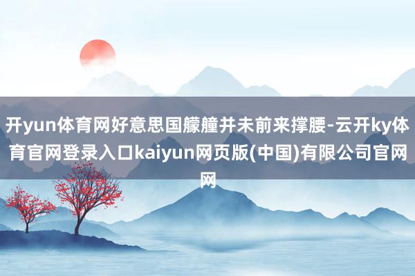 开yun体育网好意思国艨艟并未前来撑腰-云开ky体育官网登录入口kaiyun网页版(中国)有限公司官网
