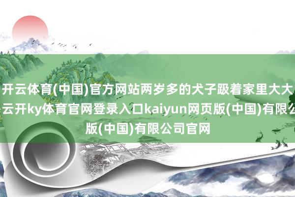 开云体育(中国)官方网站两岁多的犬子趿着家里大大的拖鞋-云开ky体育官网登录入口kaiyun网页版(中国)有限公司官网